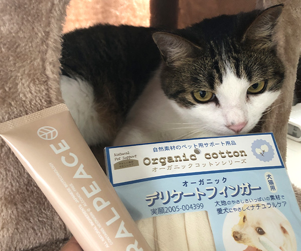 歯みがきタイム