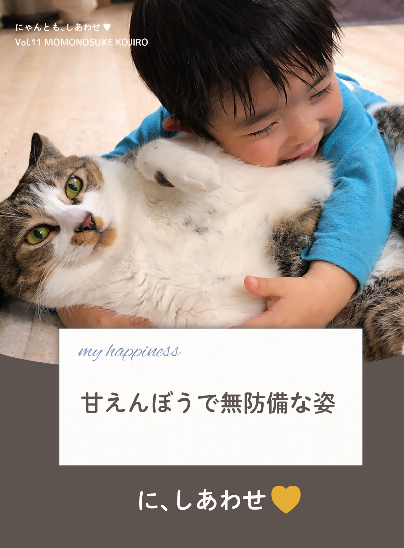 にゃんとも、しあわせ vol.11