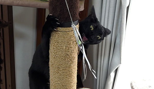 さいごに