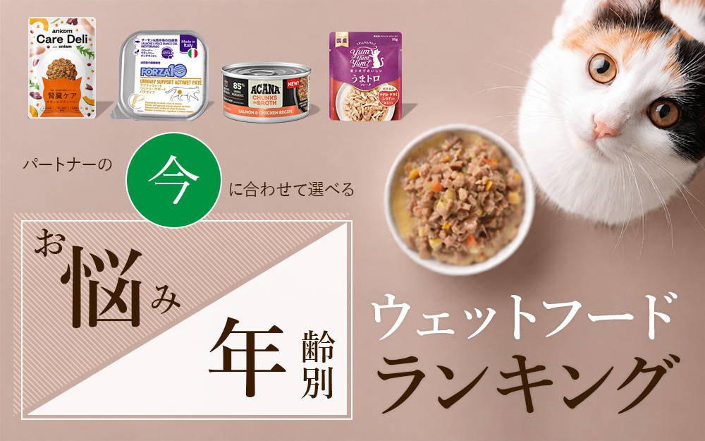 愛猫のお悩み・年齢別ウェットフードランキング