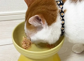 温めて香りを立てる