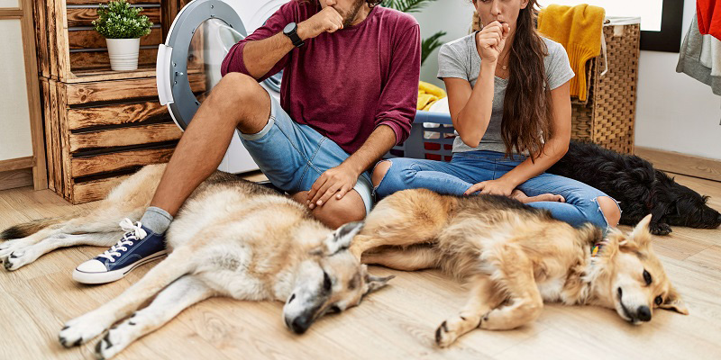 部屋で横になる２匹の犬とオーナー夫妻