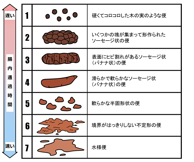 腸内通過時間