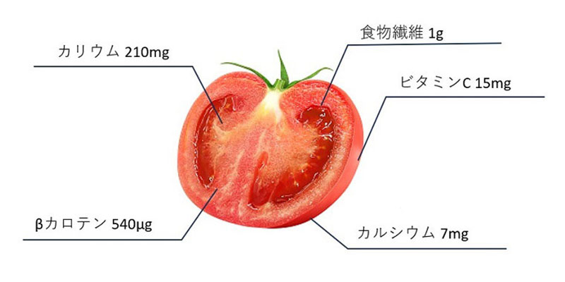 トマトの栄養素