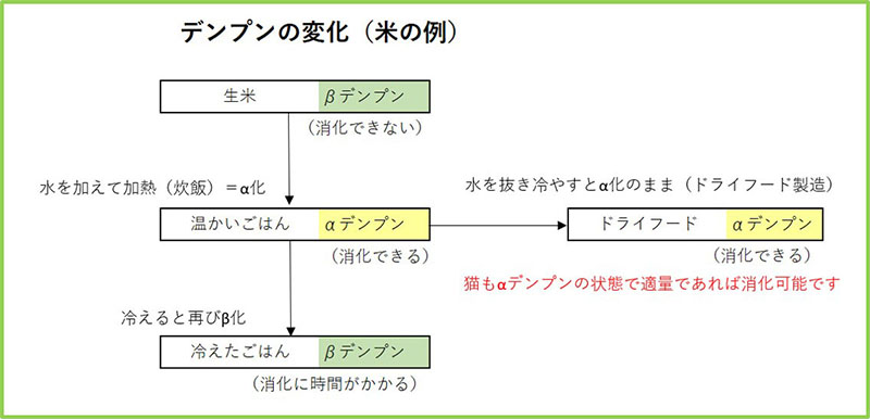 デンプンの変化図