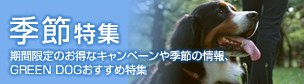 季節特集　季節限定のお得なキャンペーンや季節の情報、GREEN DOG & CATおすすめ特集