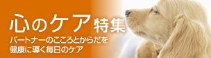 心のケア特集 パートナーの心と身体を健康に導く毎日のケア