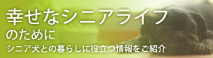幸せなシニアライフ シニア犬との生活に必要な情報をご紹介