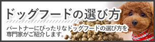 ドッグフードの選び方とおすすめ人気ランキング