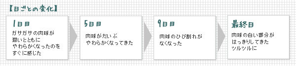日ごとの変化