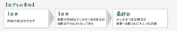 日ごとの変化