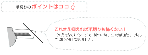 ポイントは爪の角をなくすイメージで斜めに切ること！