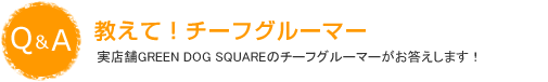 教えて！チーフグルーマー