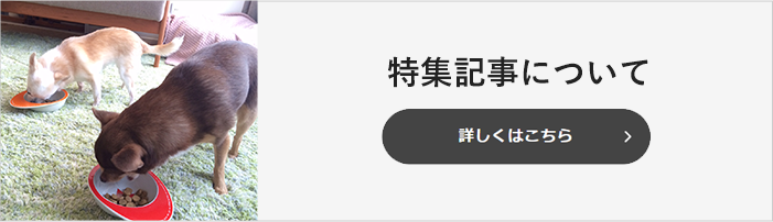 犬との生活特集記事について 　詳しくはこちら