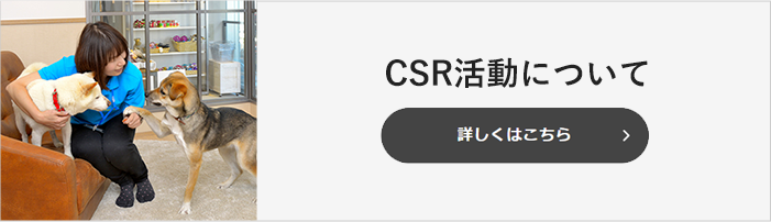 CSR活動について　詳しくはこちら