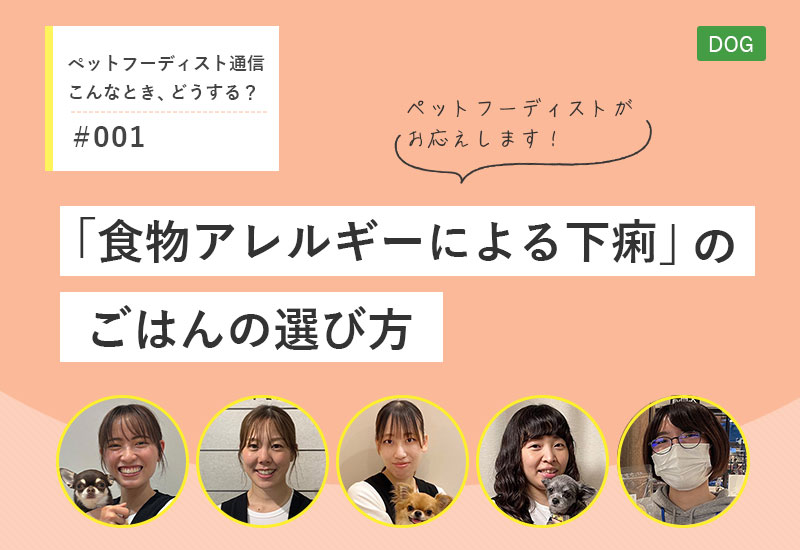 ペットフーディスト通信「こんな時どうする？」「下痢をしやすいパートナーのごはん選び」