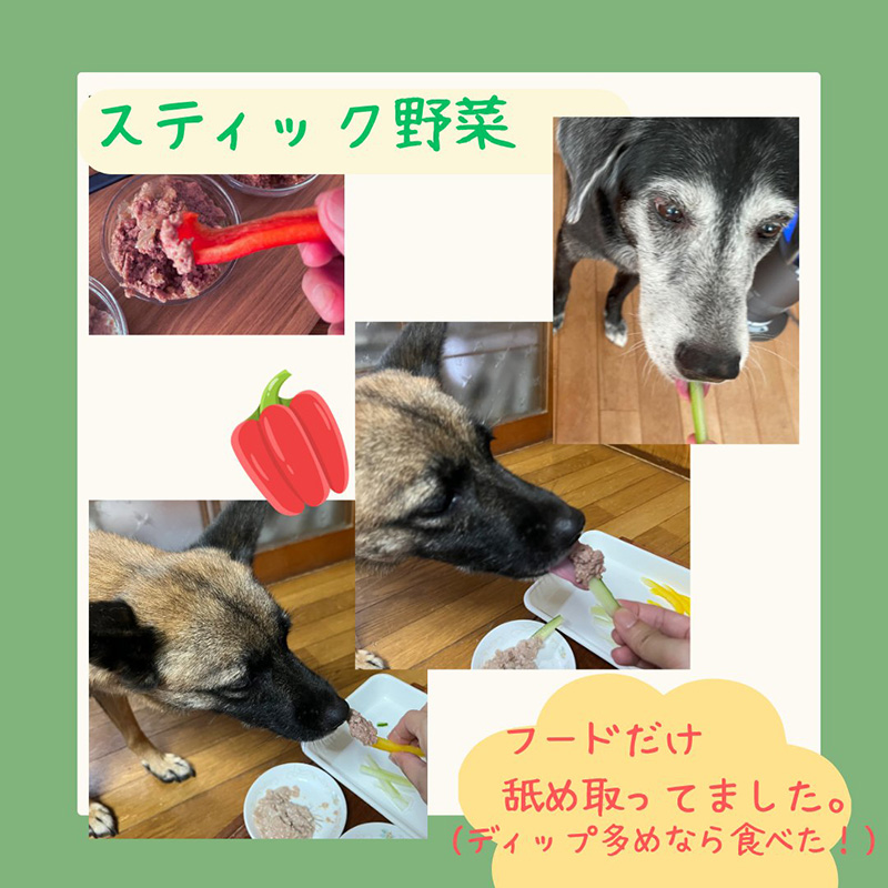 ディップを食べる犬