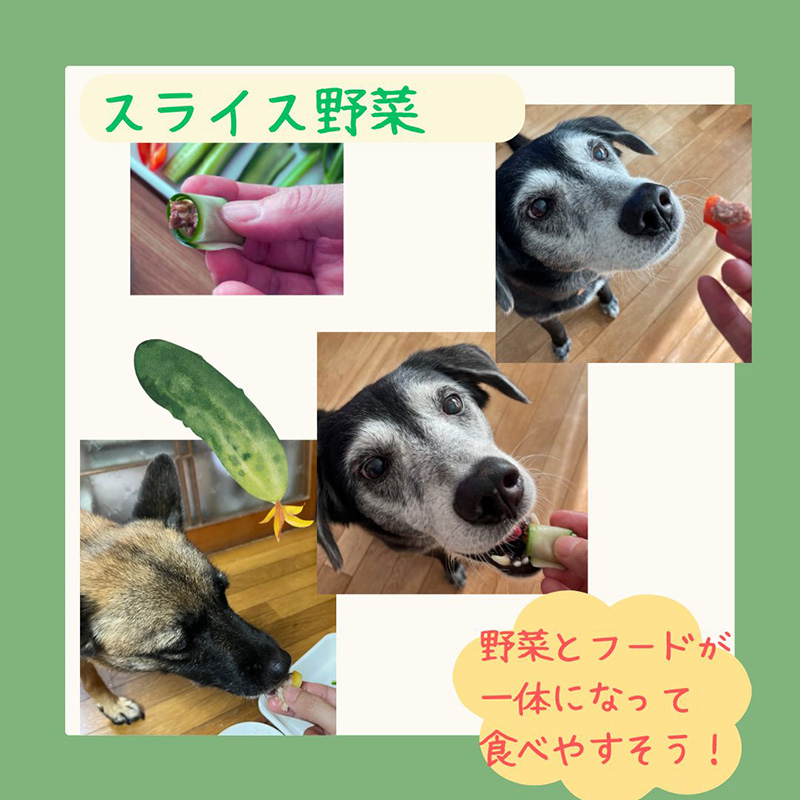 ディップを食べる犬