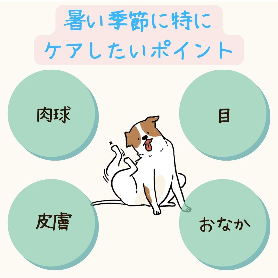 ケアしたいポイント