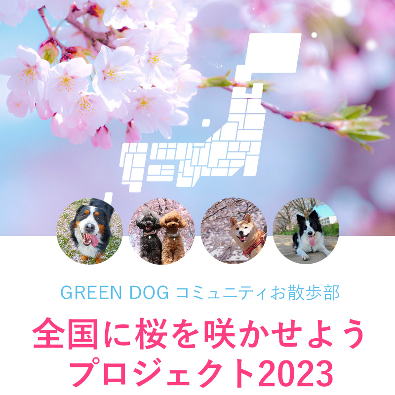GREEN DOGコミュニティお散歩部　全国に桜を咲かせようプロジェクト2023