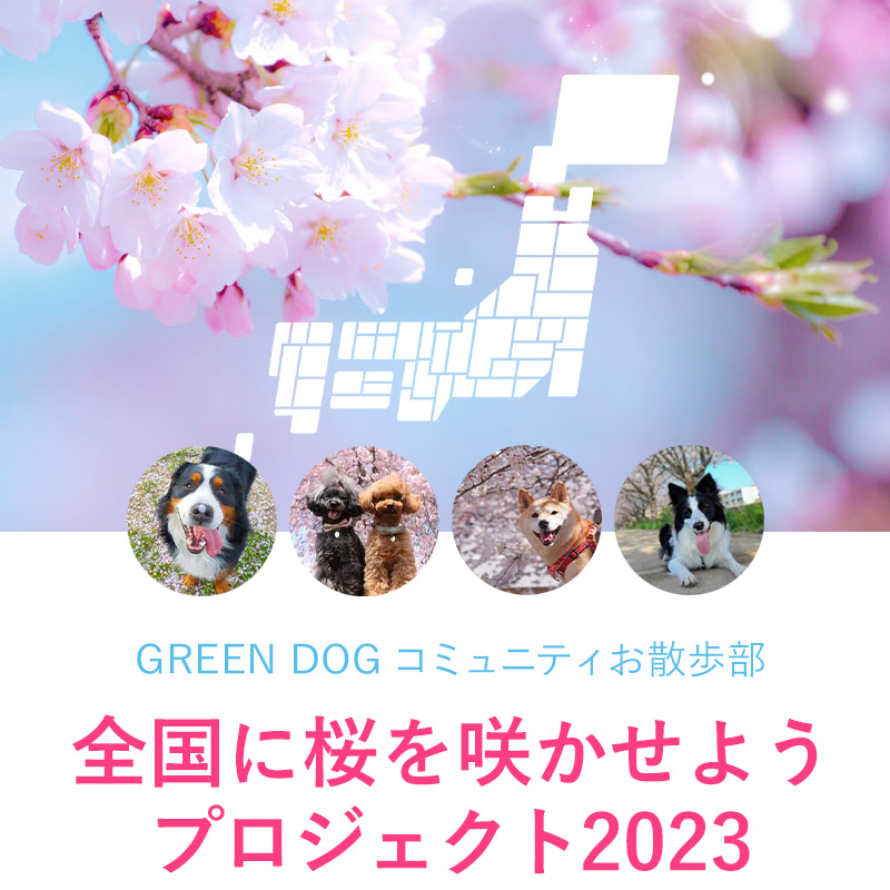 全国に桜を咲かせようプロジェクト