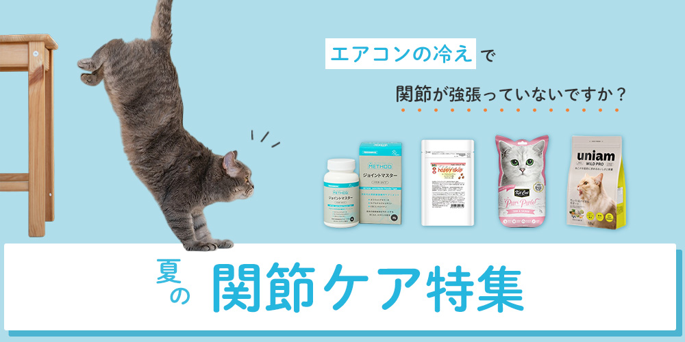 夏の関節ケア
