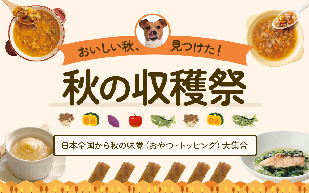 秋の収穫祭