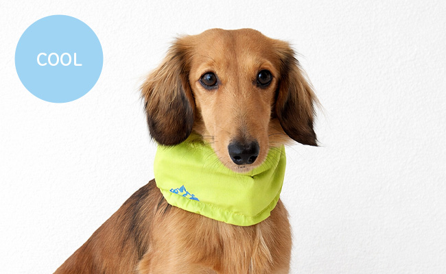 IDOG ICE HOLD ネッククーラー 保冷剤付