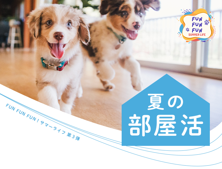 fun fun fun!サマーライフ　夏の部屋活