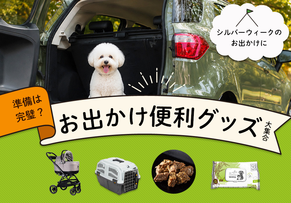シルバーウィークお出かけ特集
