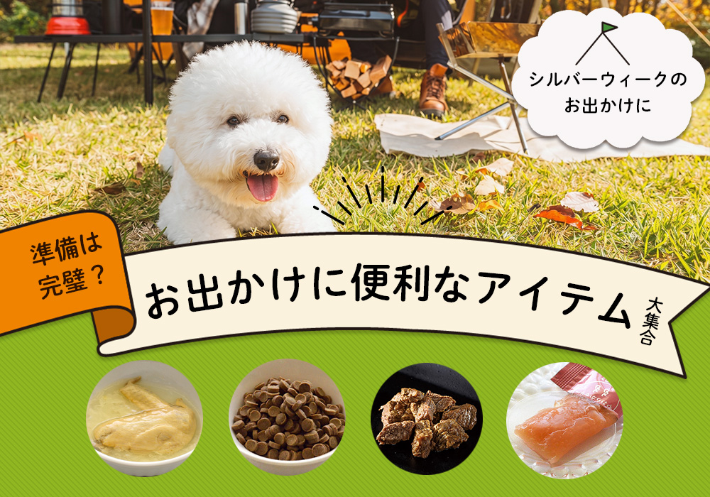 シルバーウィークお出かけ特集
