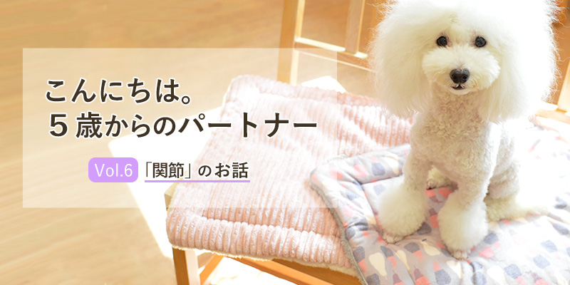 パートナー(愛 犬)の関節のお話
