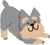 犬