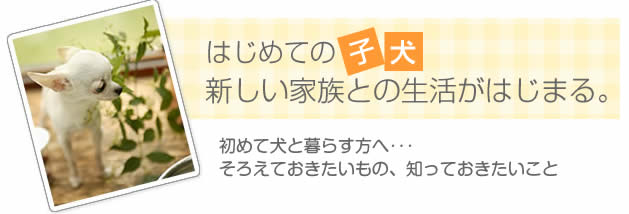 初めての仔犬(子犬) まず知っておきたいこと