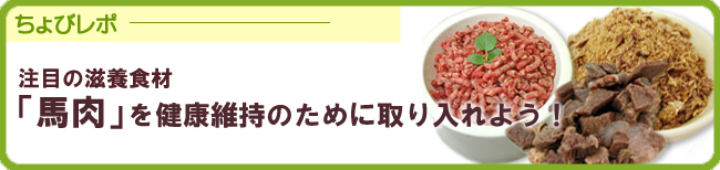 高タンパクで低カロリーな馬肉おやつ