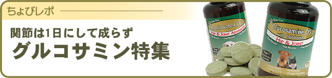 ちょびレポ  関節は一日にして成らず  グルコサミン特集