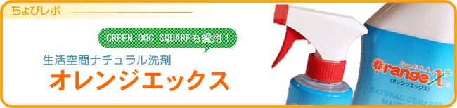 プロも愛用！生活空間ナチュラル洗剤～オレンジエックス～