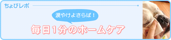 涙やけよさらば！毎日1分のホームケア