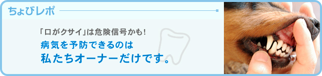 「口がクサイ」は危険信号かも!～歯磨きアイテム～