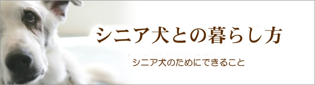 シニア犬との暮らし方 介護用品編