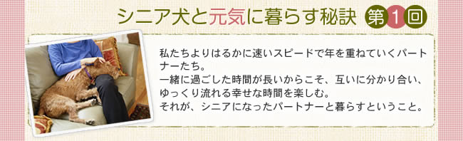 シニア犬と元気に暮らす秘訣　第1回