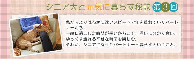 シニア犬と元気に暮らす秘訣　第3回