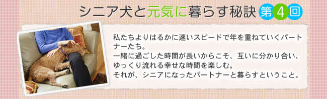 シニア犬と元気に暮らす秘訣　第4回