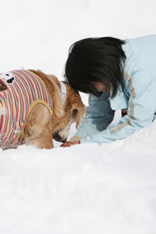 愛犬との大切な時間