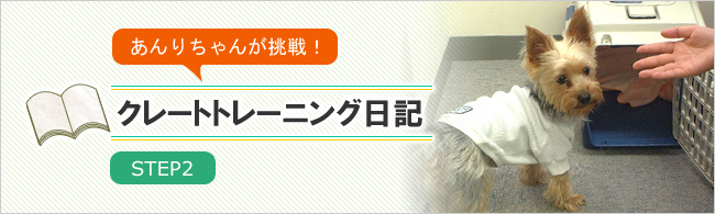 クレートトレーニング日記 ステップ2