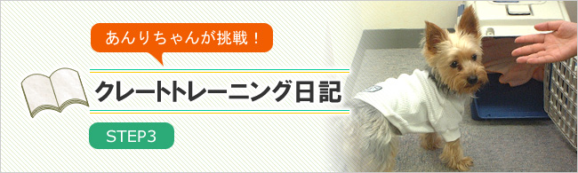 クレートトレーニング日記 ステップ3