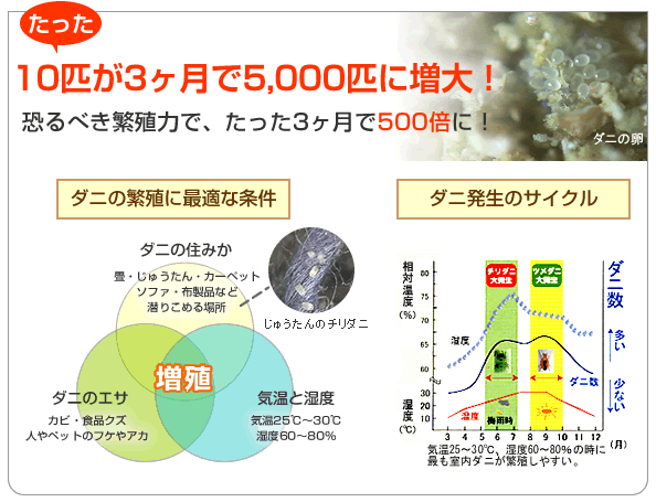 恐るべきダニの繁殖力