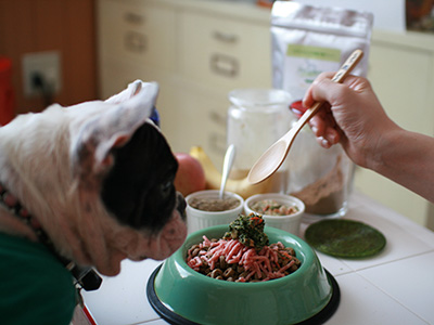 愛犬ごはんにトッピング