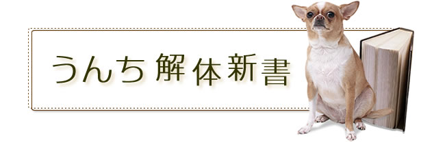 うんち解体新書