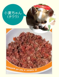 Case1：愛犬の生食を使ったごはん